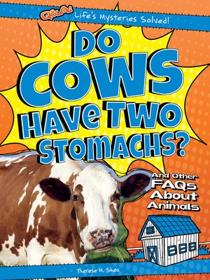 cover image of Do Cows Have Two Stomachs?